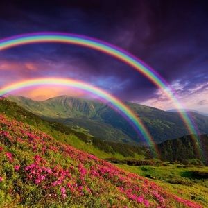 Meet your Posher, Adelyn